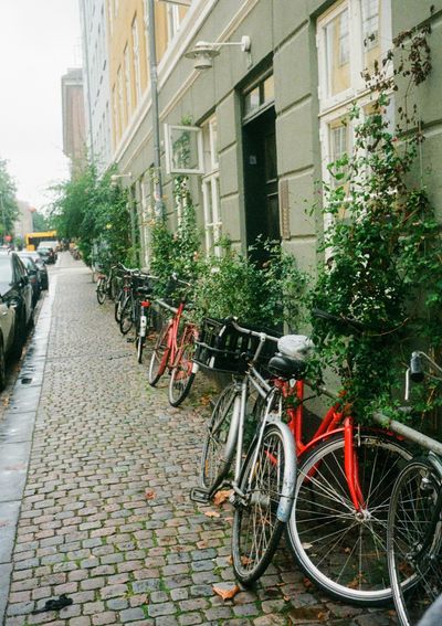 Bikes parked along a wall on a cobbled pavement.