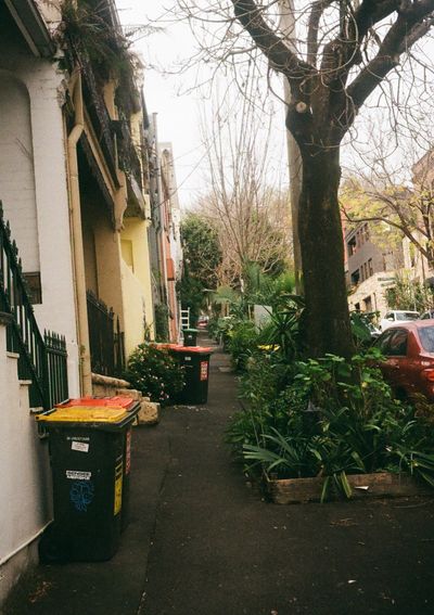 Yellow and red capped bins sit outside houses down a narrow footpath.