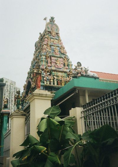 An ornately decorated roof of an Indian temple rises above palms trees against cloudy skies.