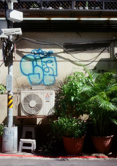 An airconditioning unit sit on the roadside attached to a grey wall. Blue grafitti is painted above the box, while green leafy ferns sit on the road to the right. On its left is a street post topped with a security camera pointing away from the box.