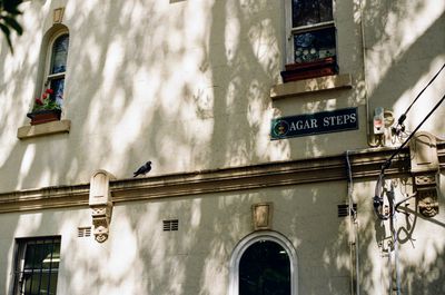 A pigeon sits on a ledge alongside a building. 