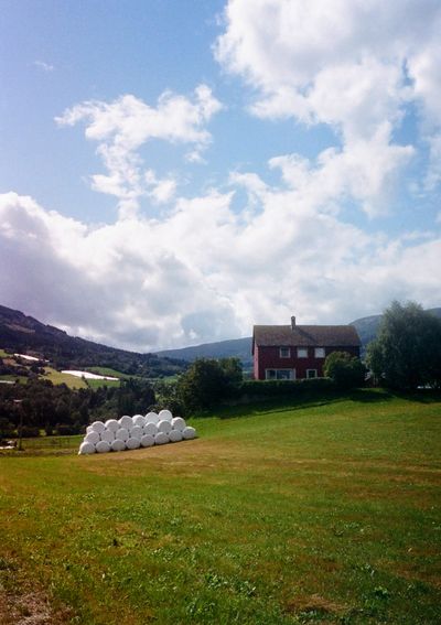 A red, two-story house sits behind a hedge in on a grassy hill. In front of the hedge are while bails of hay.