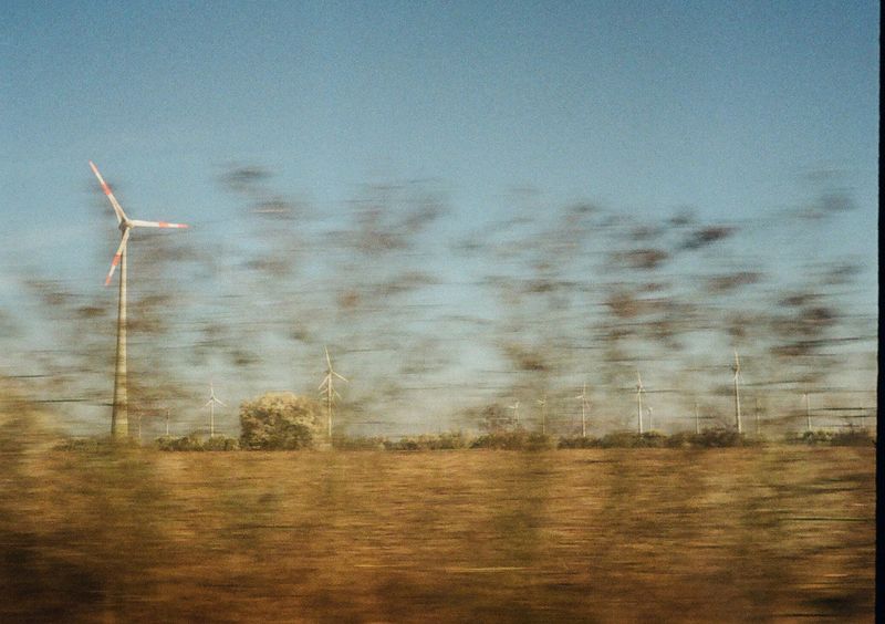 A shot taken from a moving train, high grass blurred in the foreground with a white wind turbine sitting in a field behind.