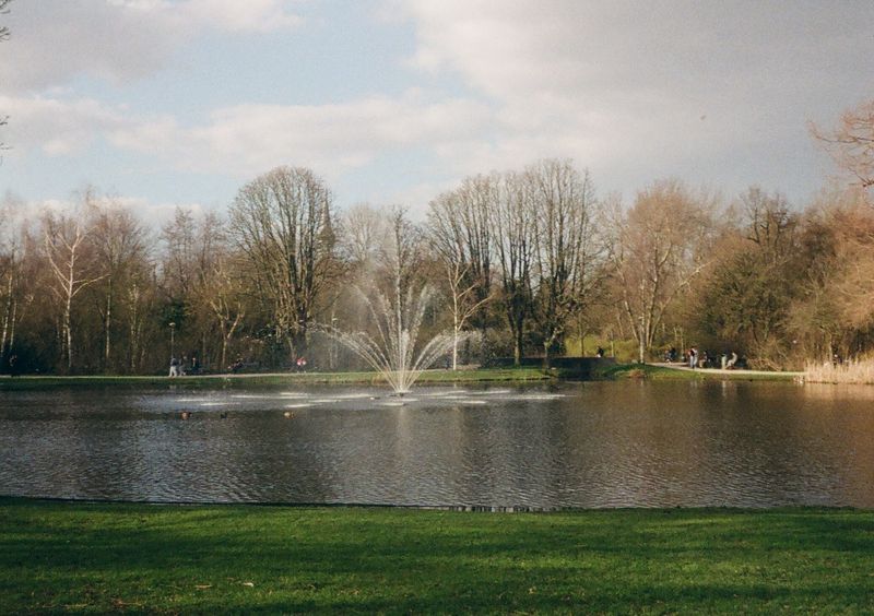 A water fountain sprouts water into a lake. Trees in the background are bathe in the glow of late afternoon sunlight.