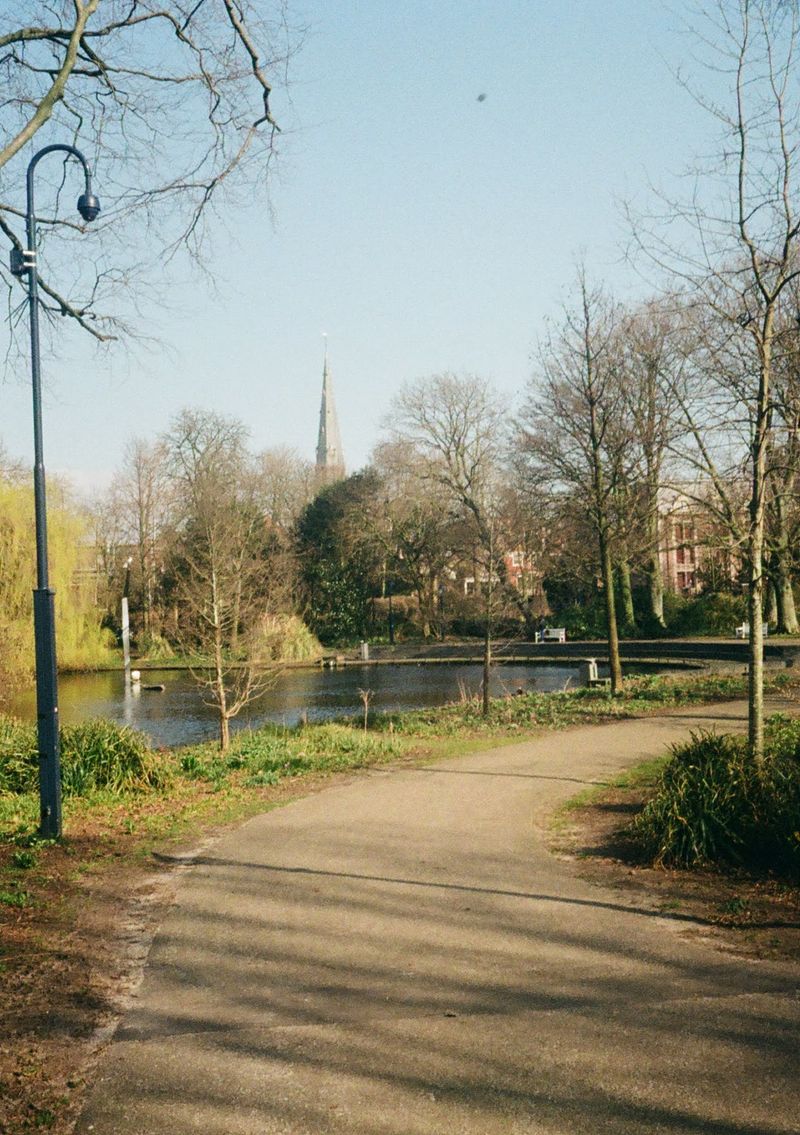 A path winds through a sunlit park. Winter trees dot the landscape, with a church spire in the background.