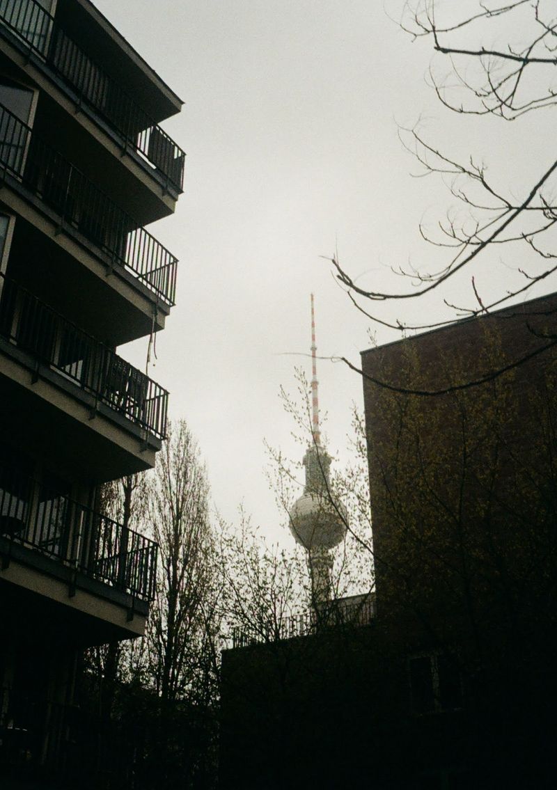 A grey photo looking towards a tower in the distance that features a large round ball below its tall spire. In the foreground, tree branches go across the shot with two residential buildings framing the picture.