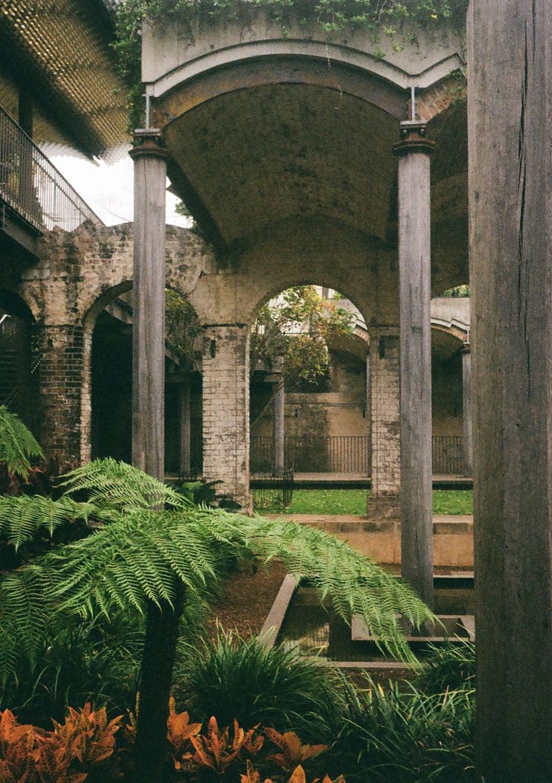 Concrete archs rise above leafy green ferns.