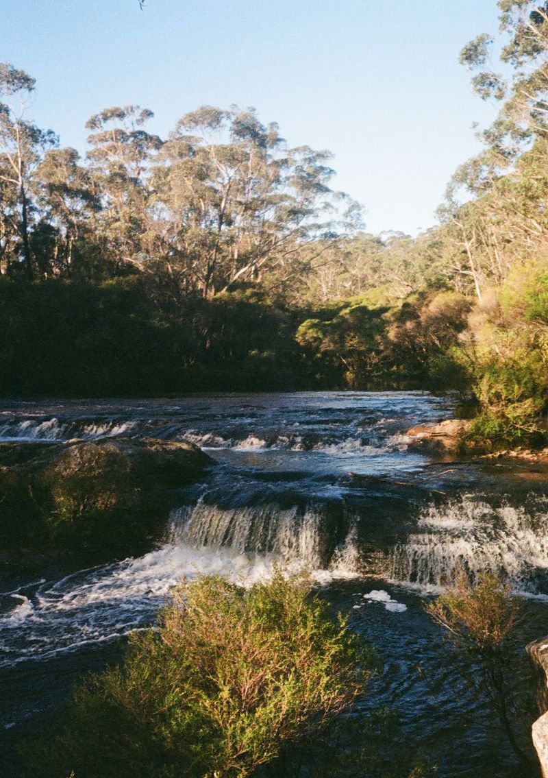 Sunlight baths the trees around a river and waterfall that is in the shade.