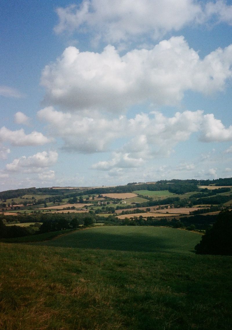 Rolling green fields with patchworked by fences. Blue skies with fluffy clouds overhead.