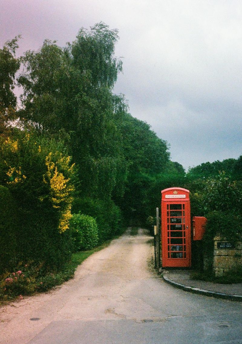 A red phone booth stands at the entrance of a laneway. Inside teh phone booth are books.