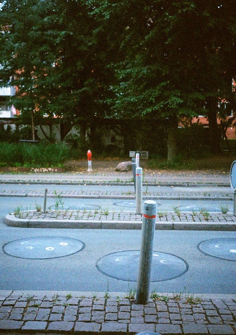 Four bollards lined up across two lanes of a road. Each bollard is bent slightly off center.