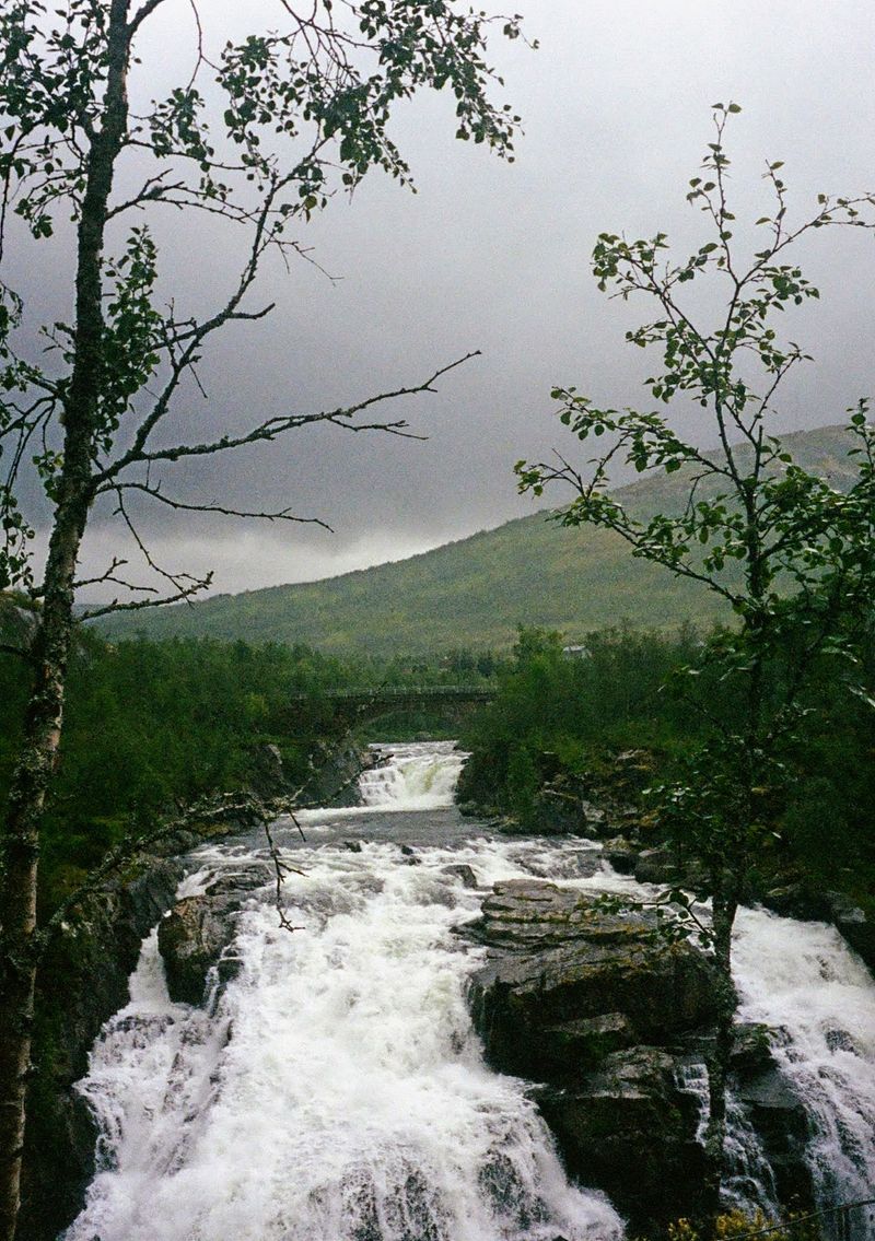 A powerful, low waterfall cascades down under a stone bridge. The shot is framed by the branches of two trees in the foreground.