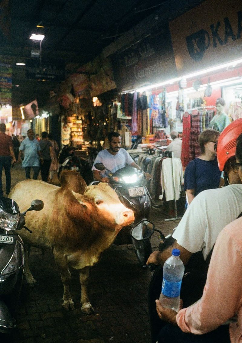 A bull stands in the path of two scooters trying to squeeze past it through a narrow shopping street