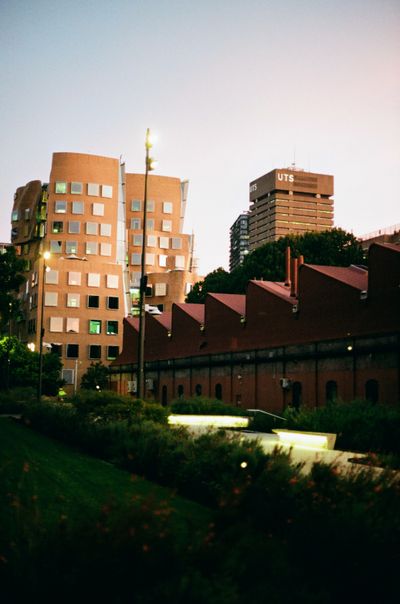 Previous image