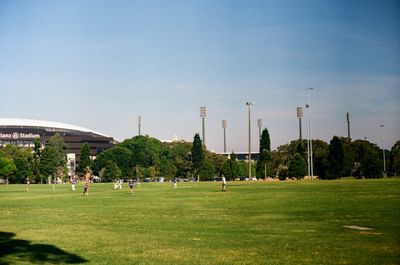 Previous image