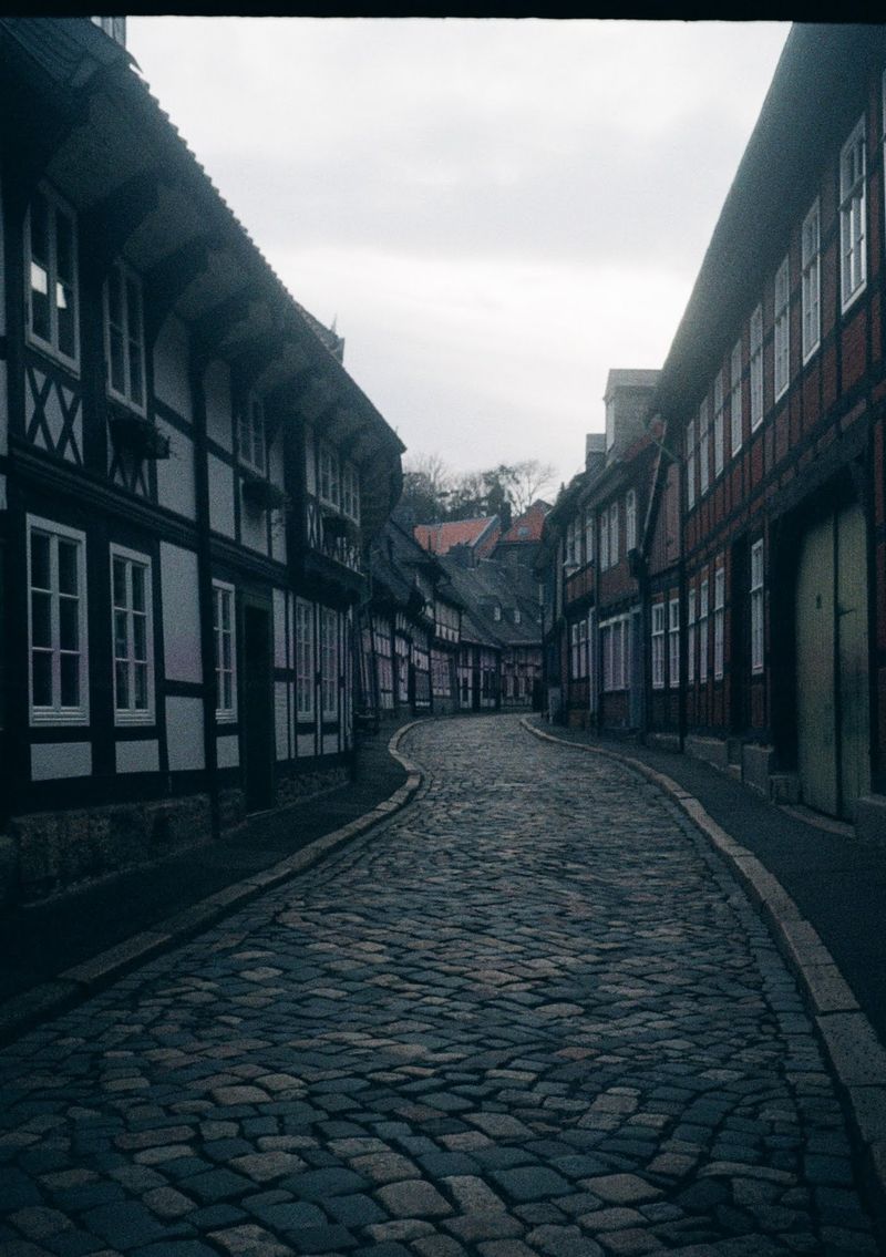 A cobbled street curves between old, German-style houses.