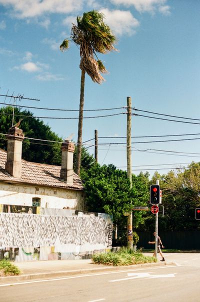 A palm tree blows in the strong breeze on a street corner. A white  old house is on the left of the frame, while a man crosses the road near the right of the shot.
