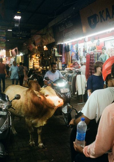 A bull stands in the path of two scooters trying to squeeze past it through a narrow shopping street