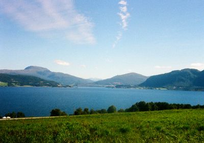 A fjord stretches out to the horizon, with a bridge crossing in the distance. The foreground is a grassy field with a few trees.