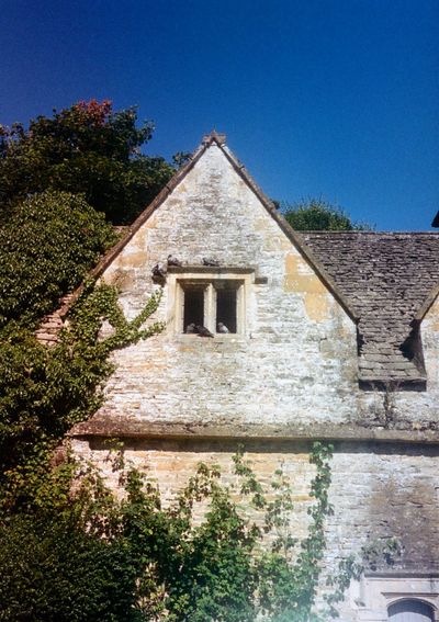 Pigeons roosting around a windown on the upper floor of a stone brick house.